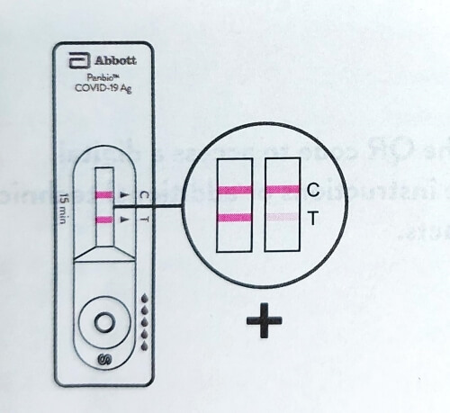Antigen Rapid Test SelfTest Kit Xiong Diary 雄日记