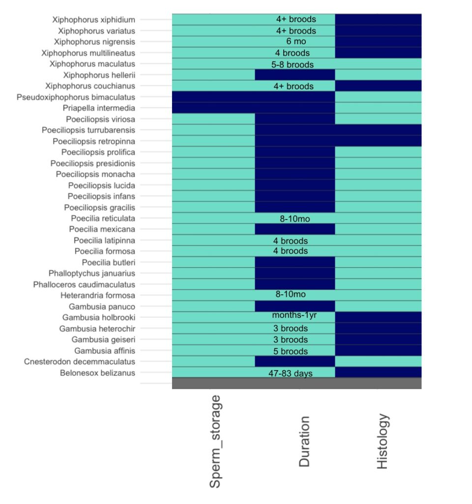 Sperm storage project in Poeciliidae