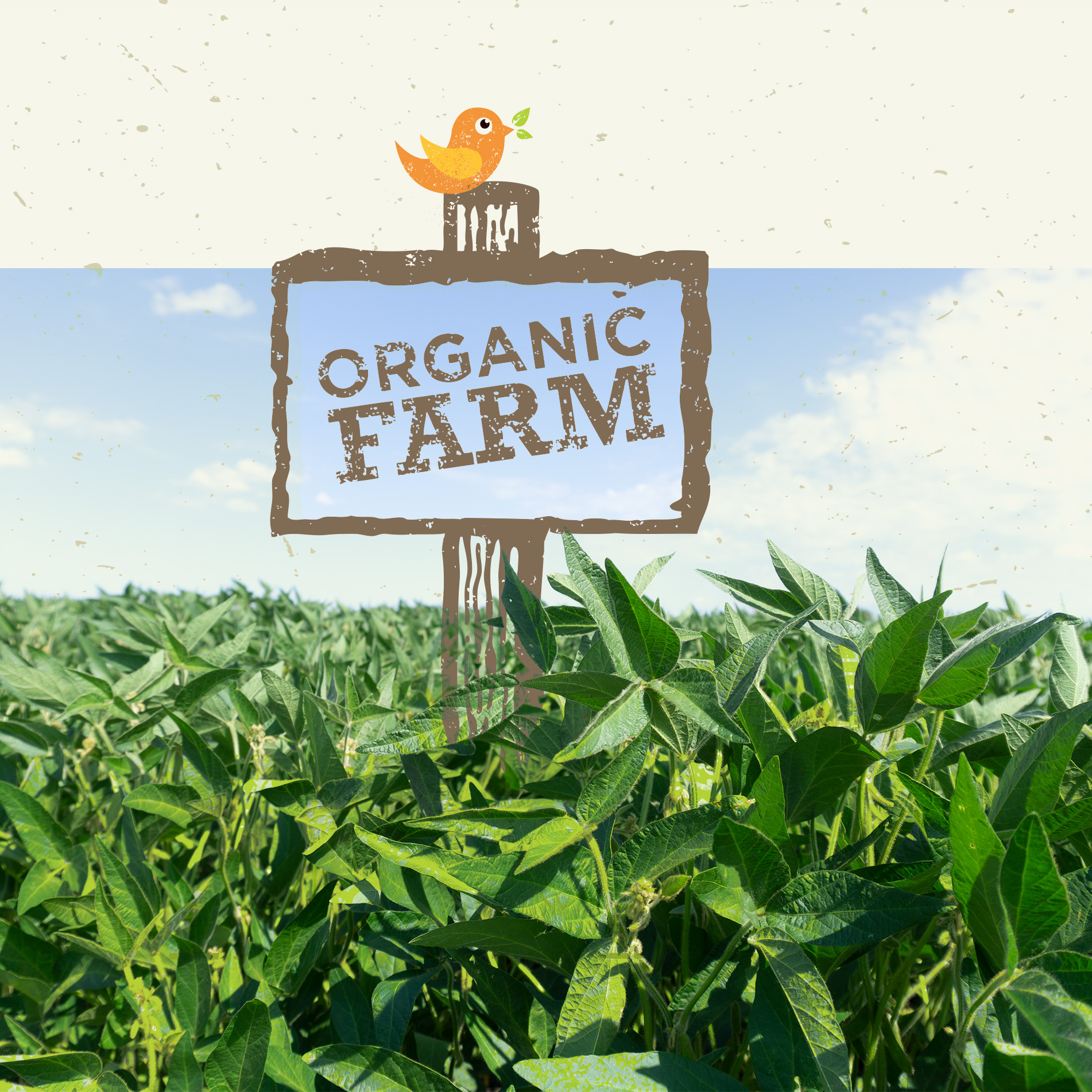 Organic farming is it worth it?