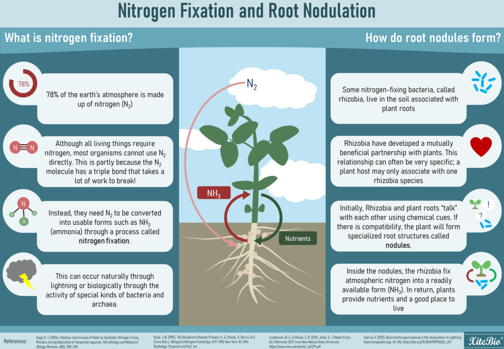 Producing microbial products for sustainable agriculture in Manitoba