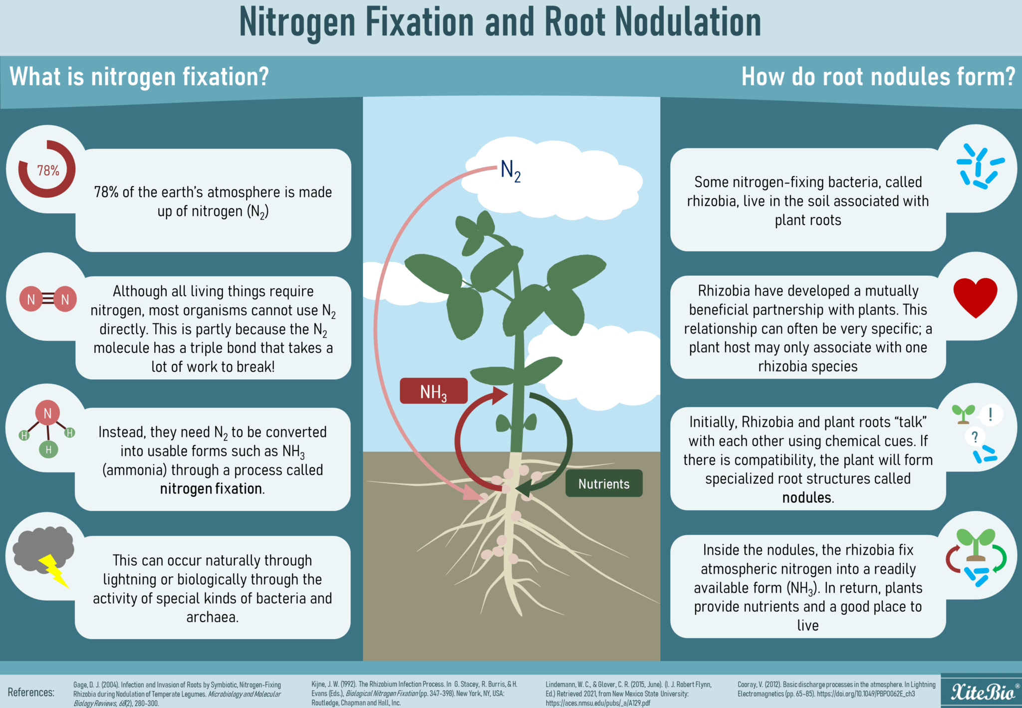 Producing microbial products for sustainable agriculture in North America