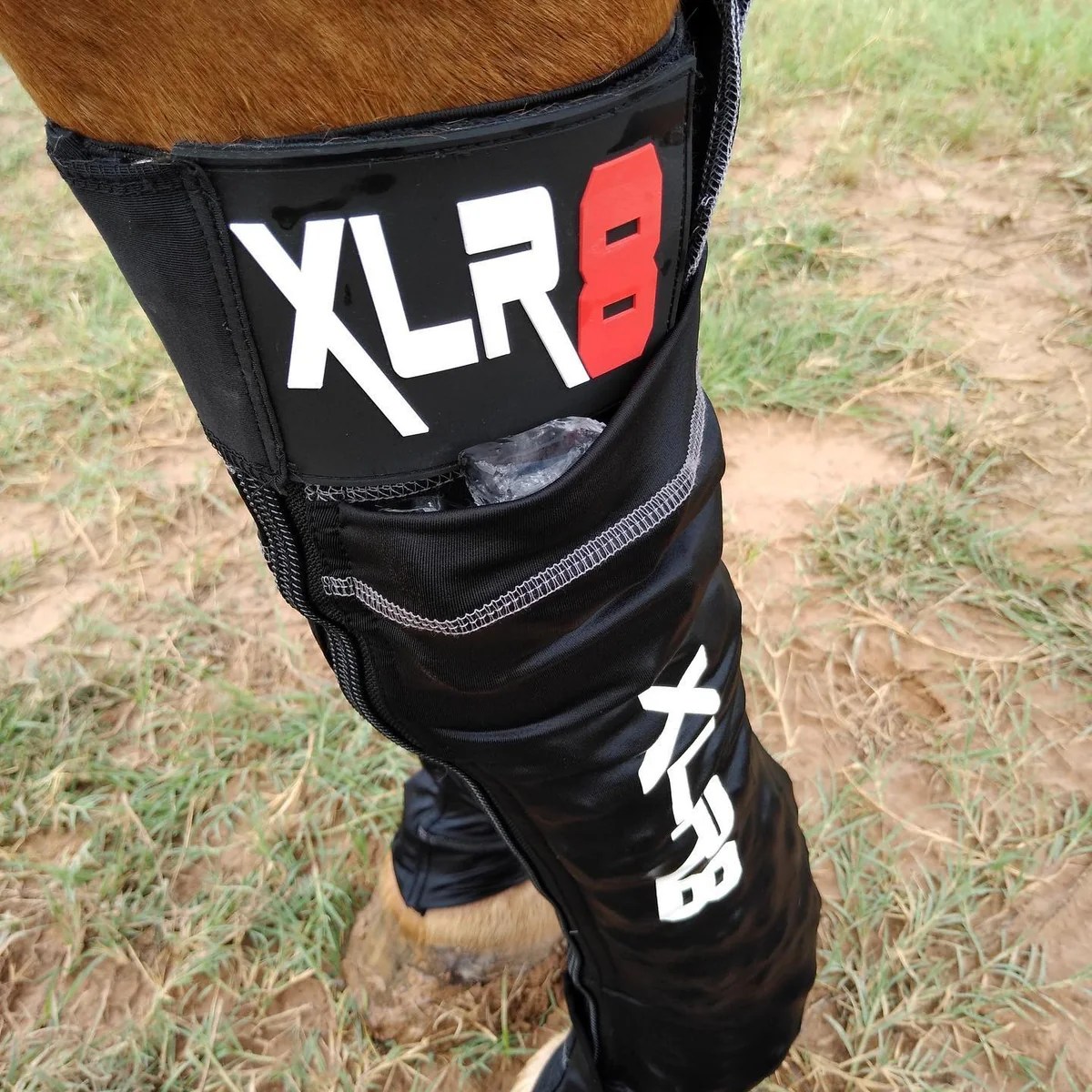 XLR8 Equine Therapy