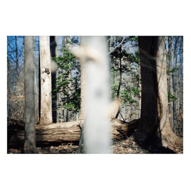 Beatrice Dillon to Launch Label with DoubleSingle XLR8R