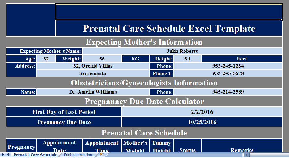 Pregnancy Prenatal Visit Schedule at Joanna Swanner blog