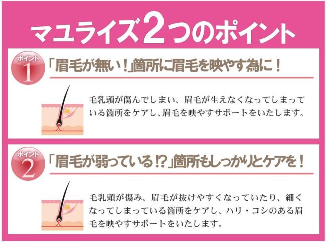 ダイエット植物のケア - 基本的なケア