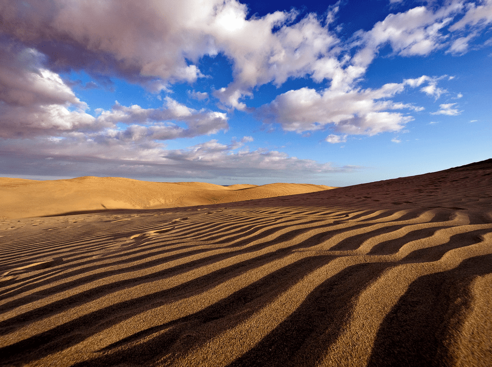 Väder Gran Canaria och Kanarieöarna. Vilken ö har störst chans till sol