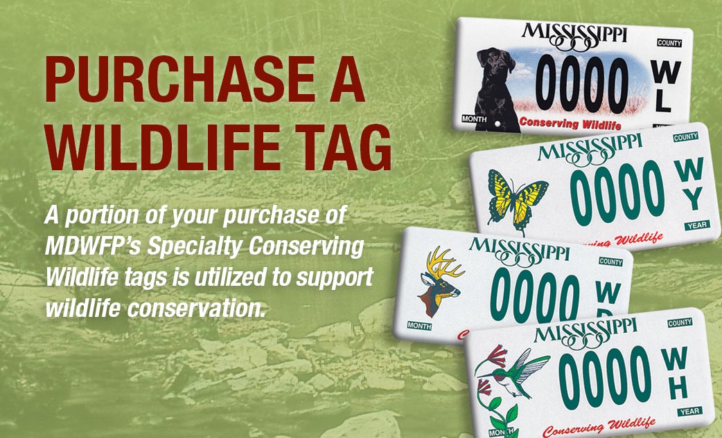 Request a Site Visit