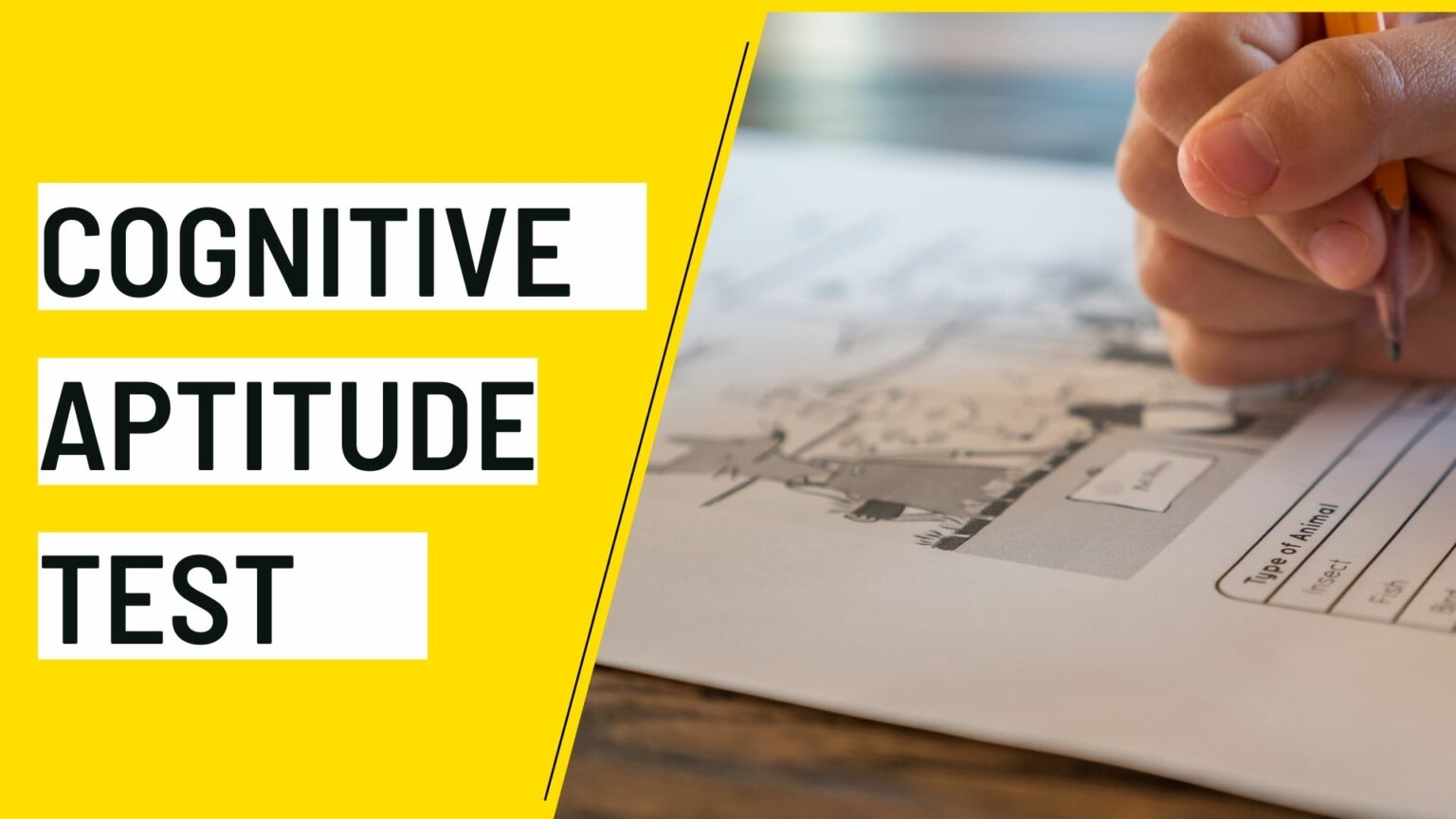 What is Cognitive Ability Test? Meaning, Types, Use Cases