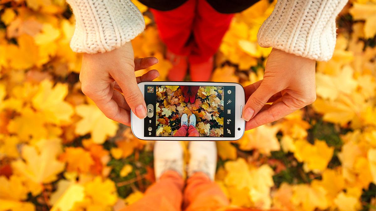 70 Fall Instagram Captions to use When You’re Falling for Autumn