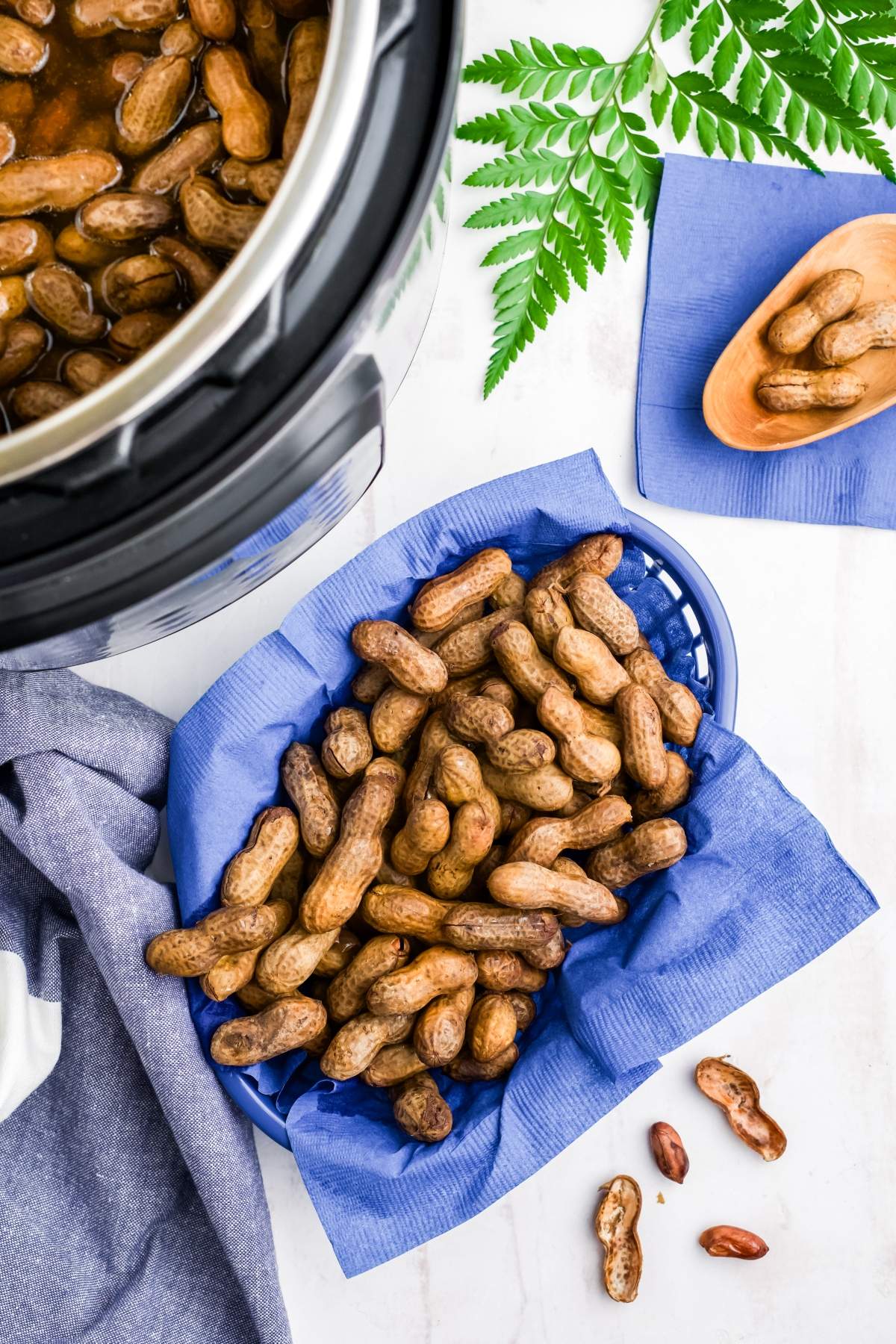 Instant Pot Boiled Peanuts xoxoBella