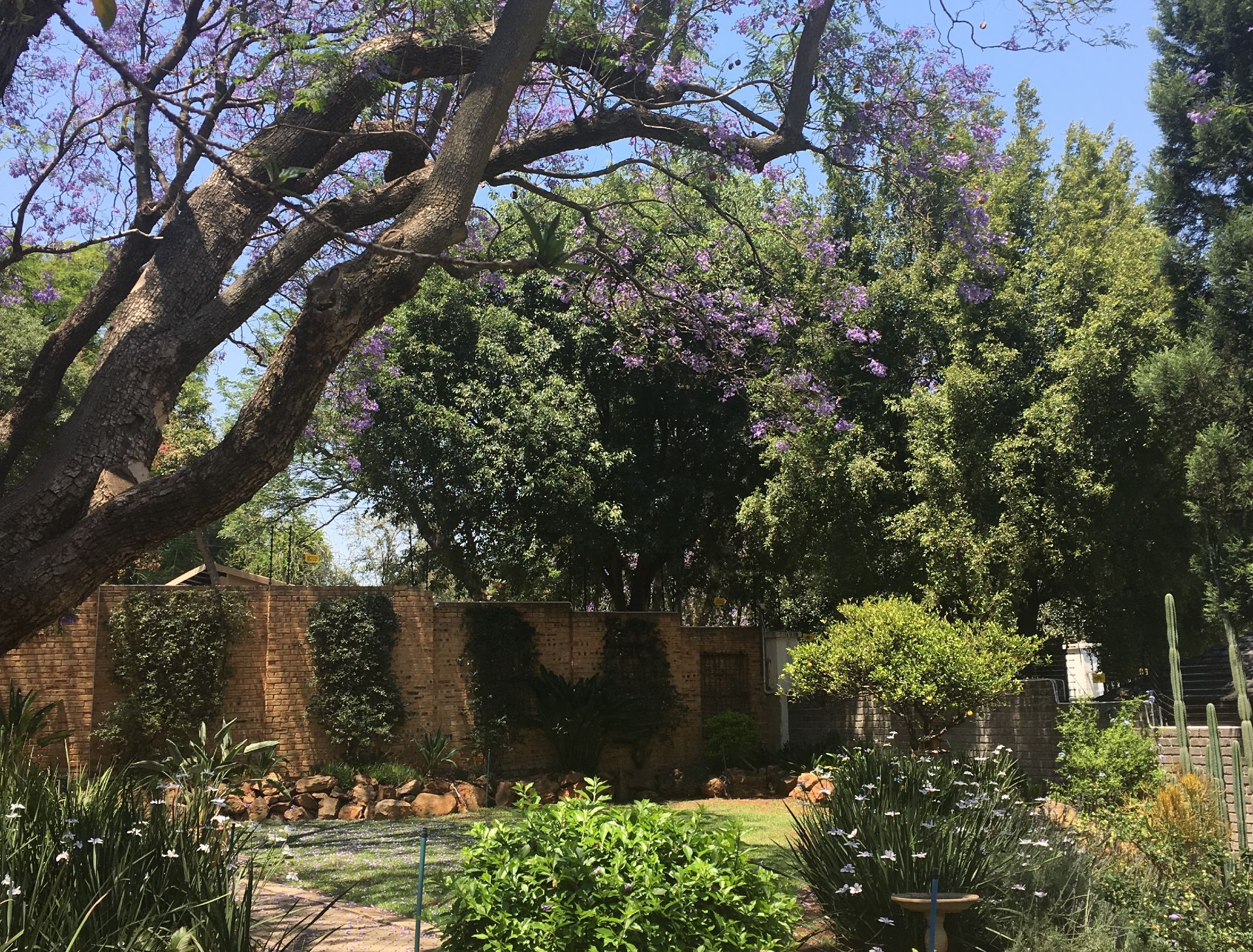 House Bramley Johannesburg, South Africa XP Architects