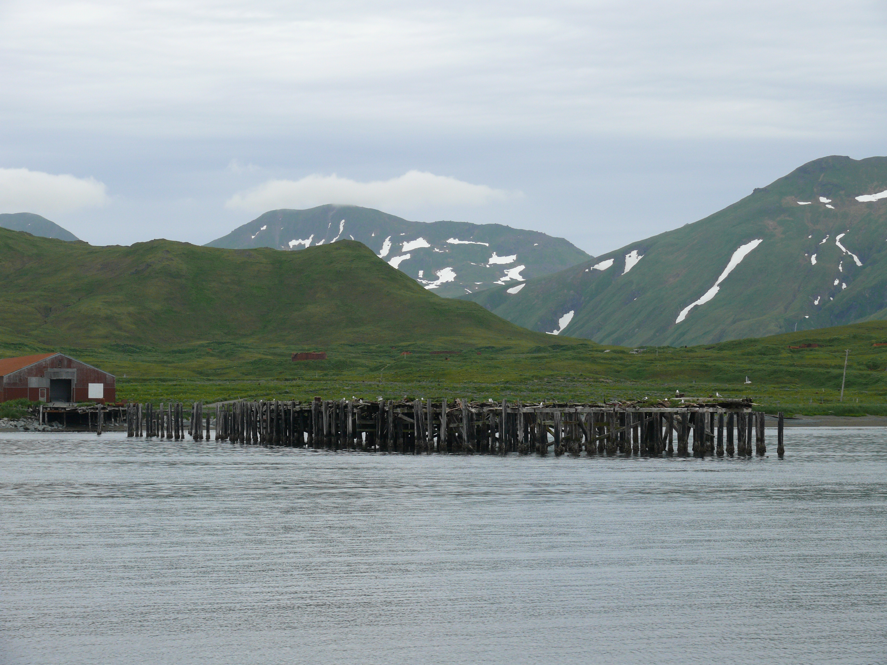 Attu Island, July 2008