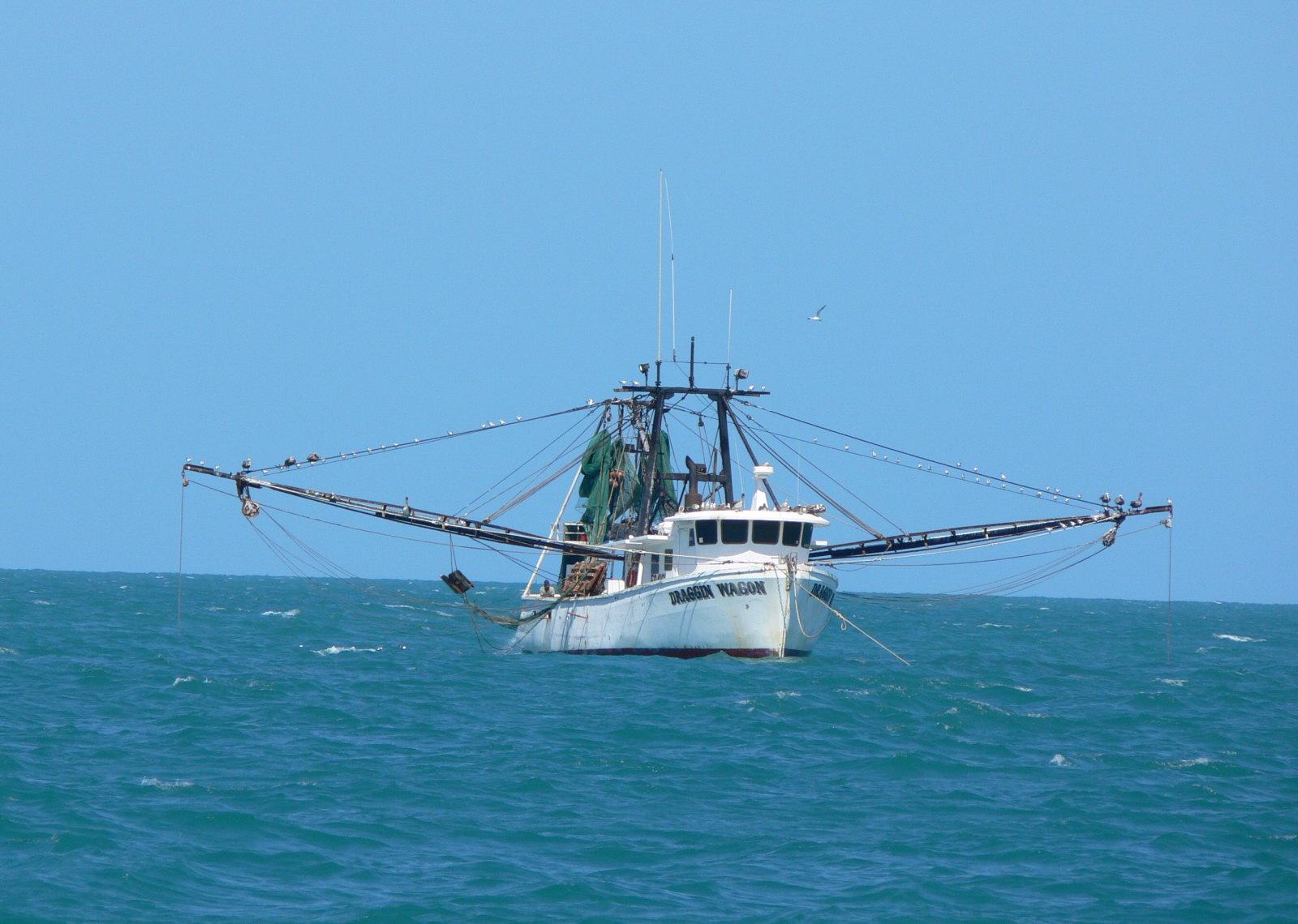 Key West to Isla Mujeres, 2007