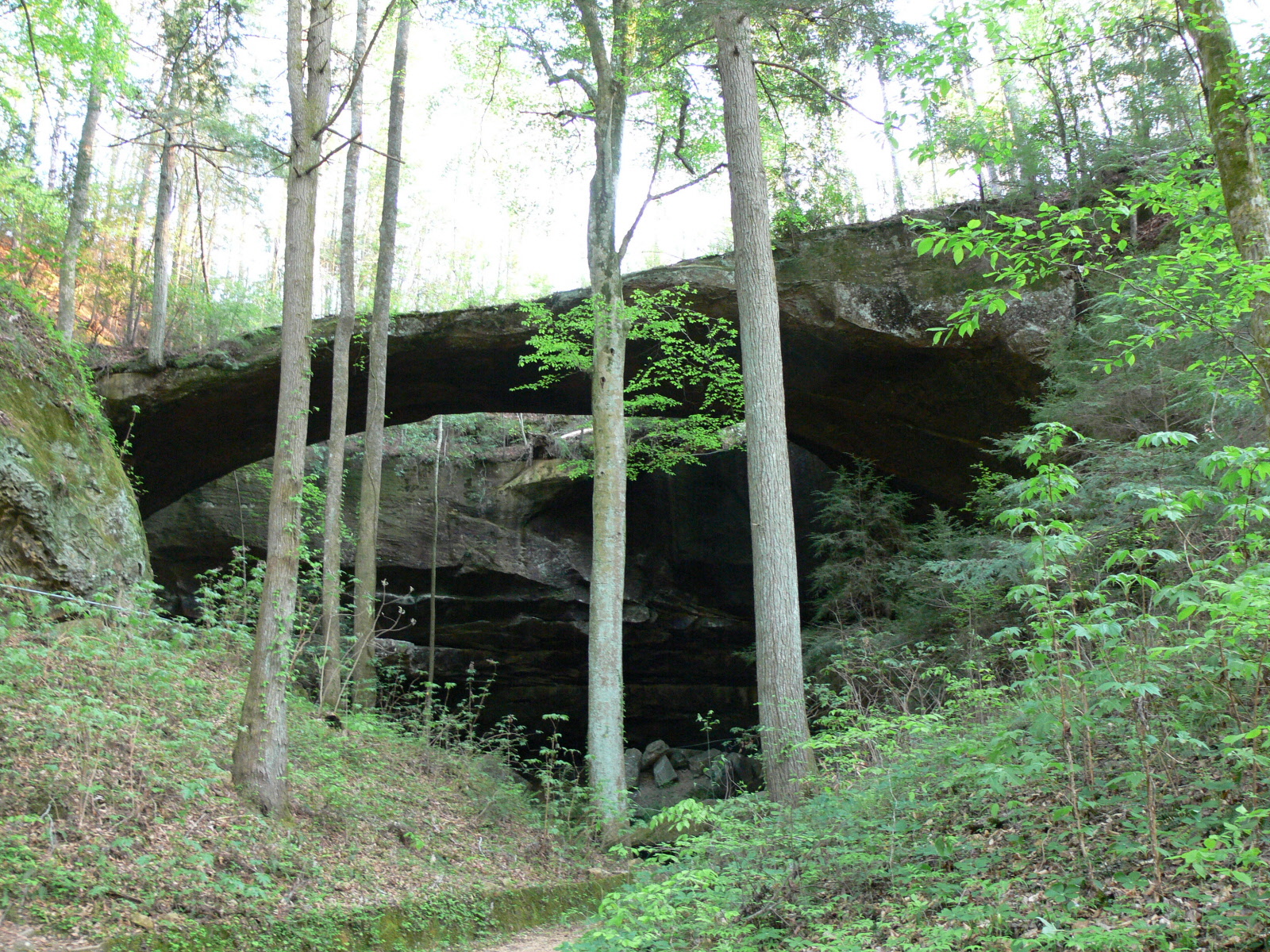 Natural Bridge, Alabama April 2007