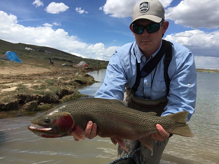 Pro Tips Top 10 Flies for Stillwater Trout Xpert Fly Fisher