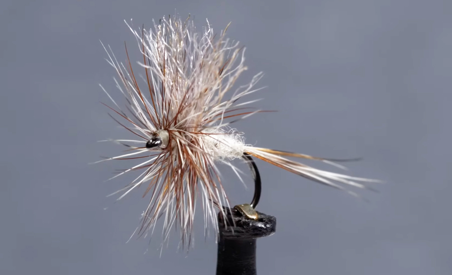 Video How to Tie the EP Adams Xpert Fly Fisher