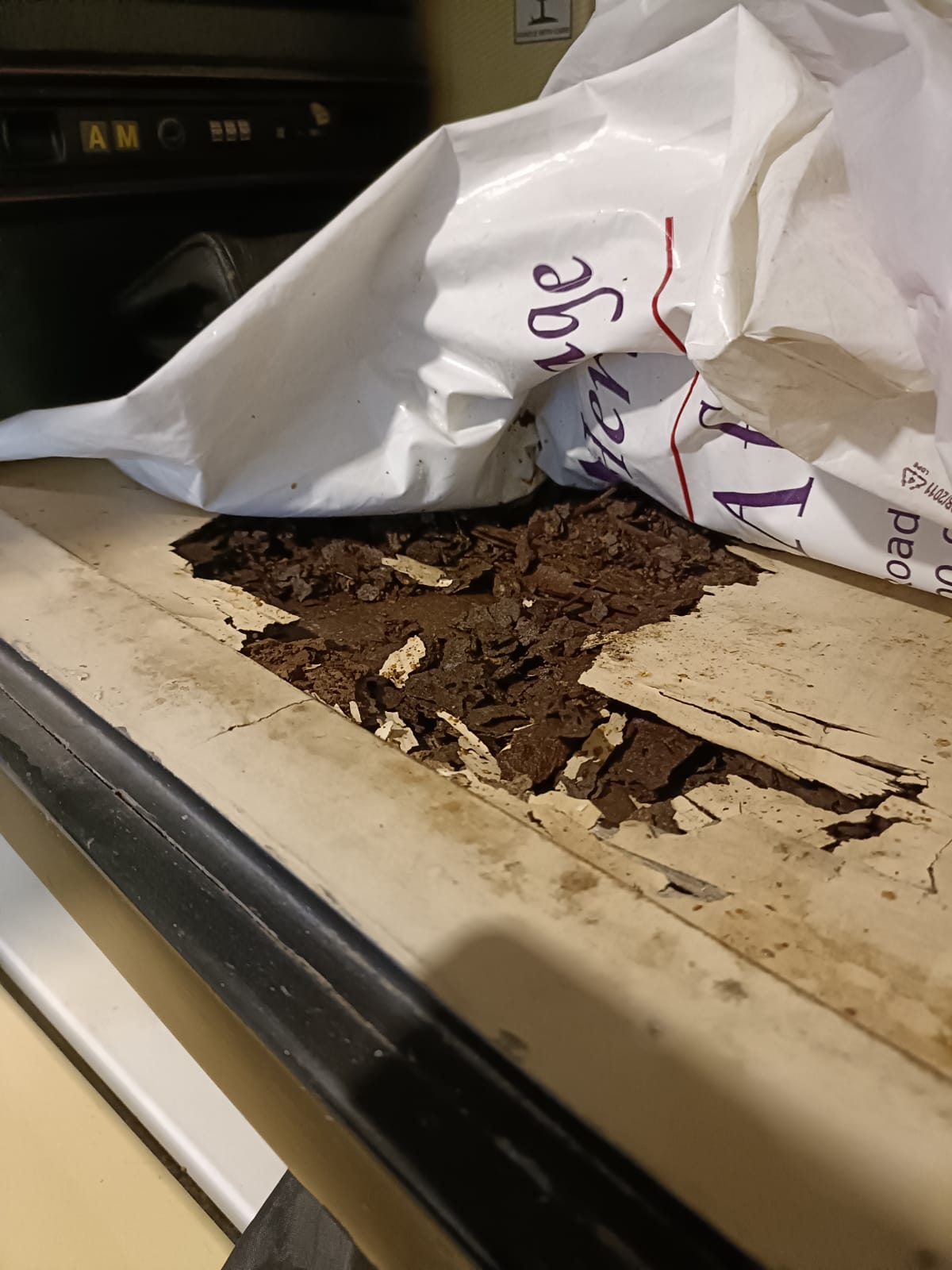 Termite Control Xpert Pest Control Squad