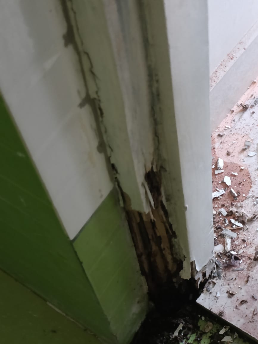 Termite Control Xpert Pest Control Squad