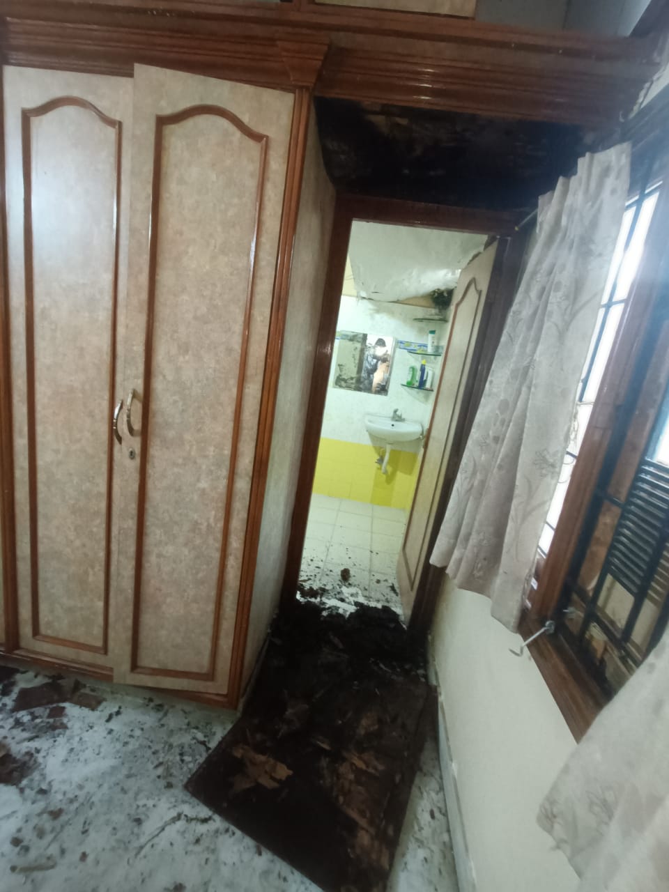 Termite Control Xpert Pest Control Squad