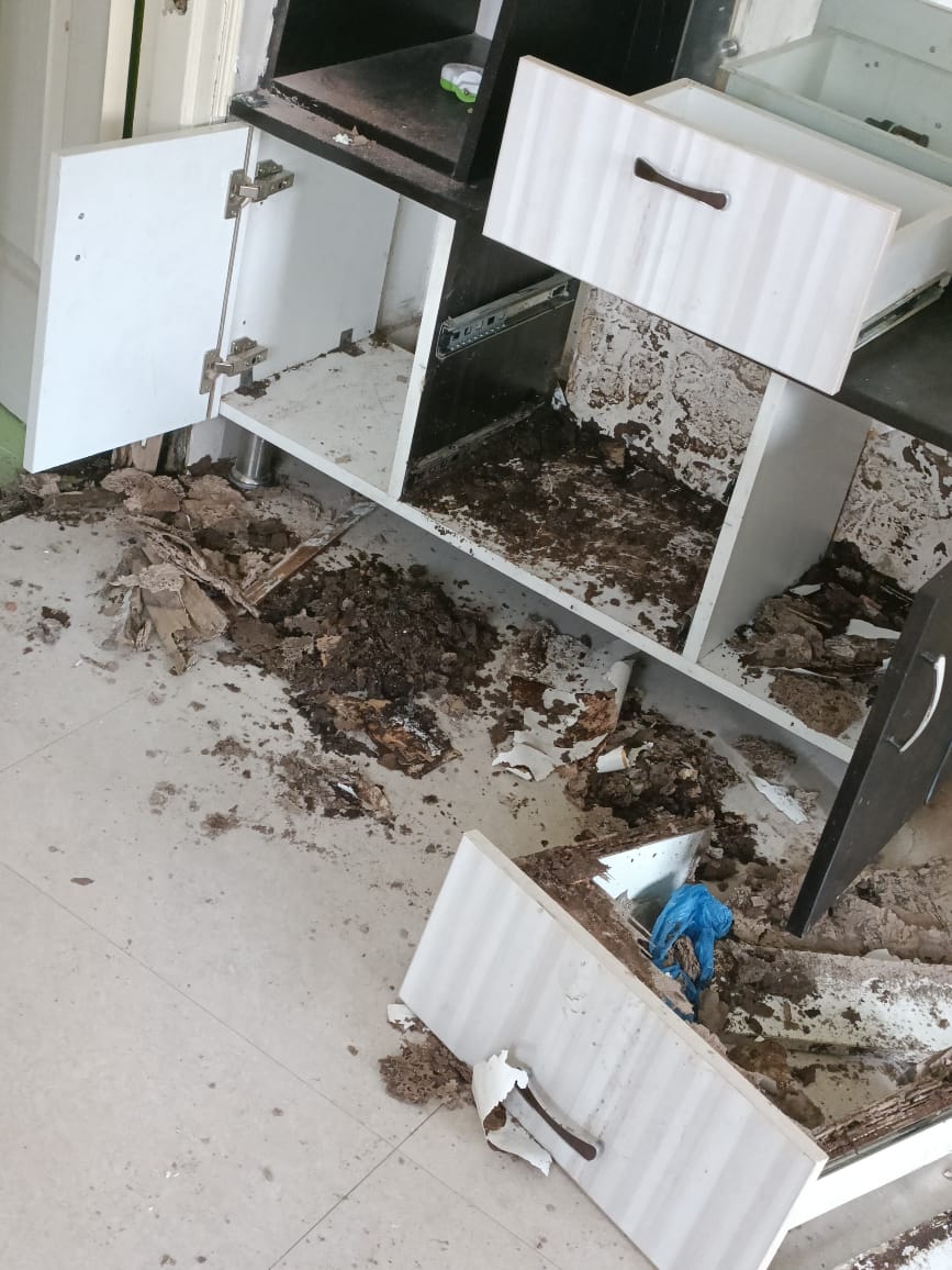 Termite Control Xpert Pest Control Squad