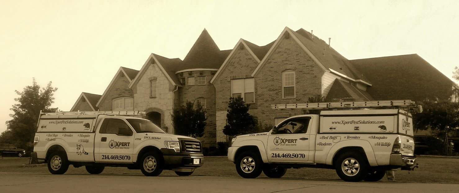 XPERT PEST SOLUTIONS Best Pest Control Company in Dallas TX, Full