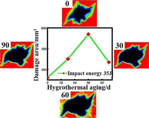 Study on the damage behavior of carbon fiber composite after low