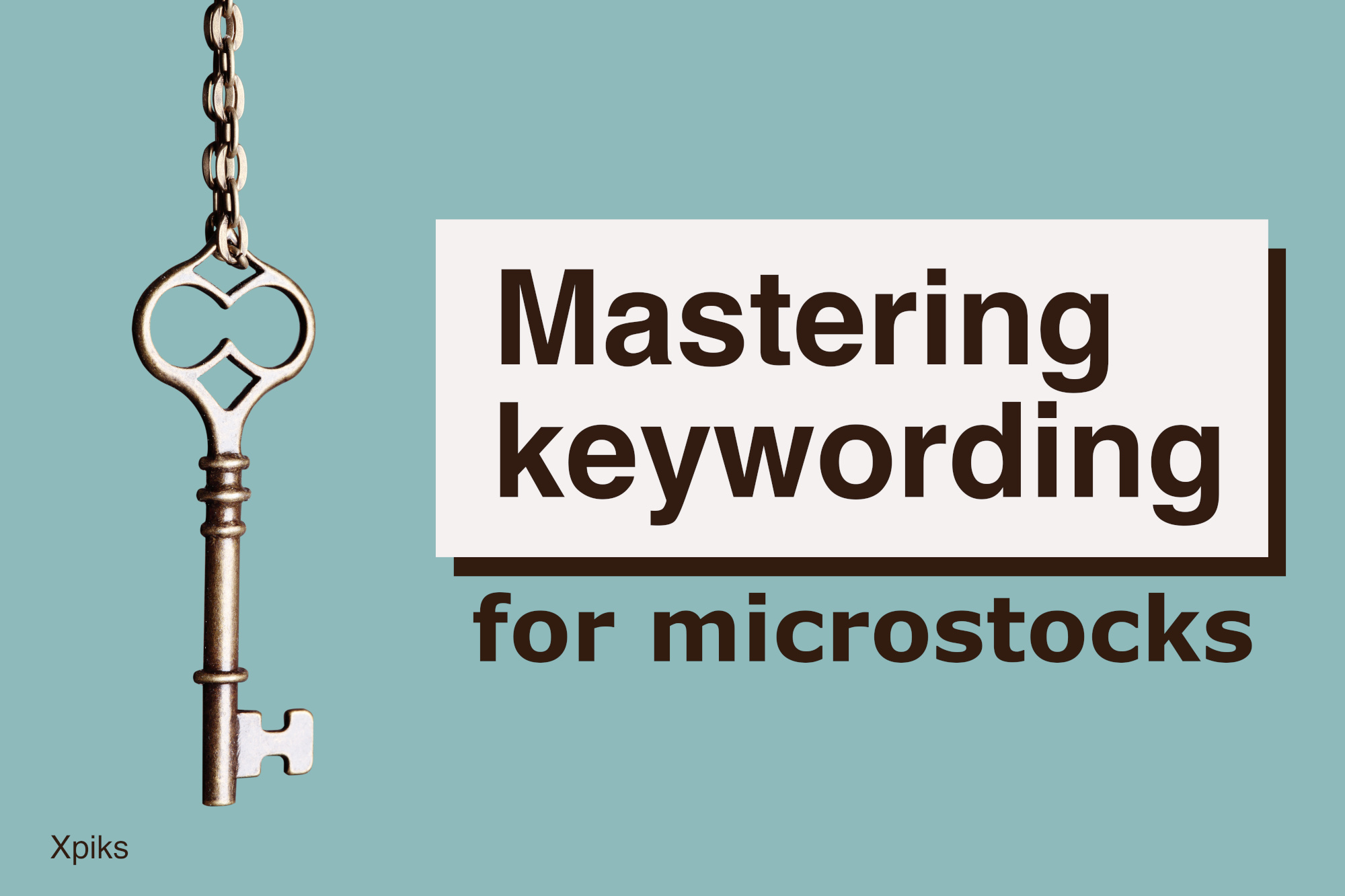 Mastering keywording for microstock agencies Xpiks Blog