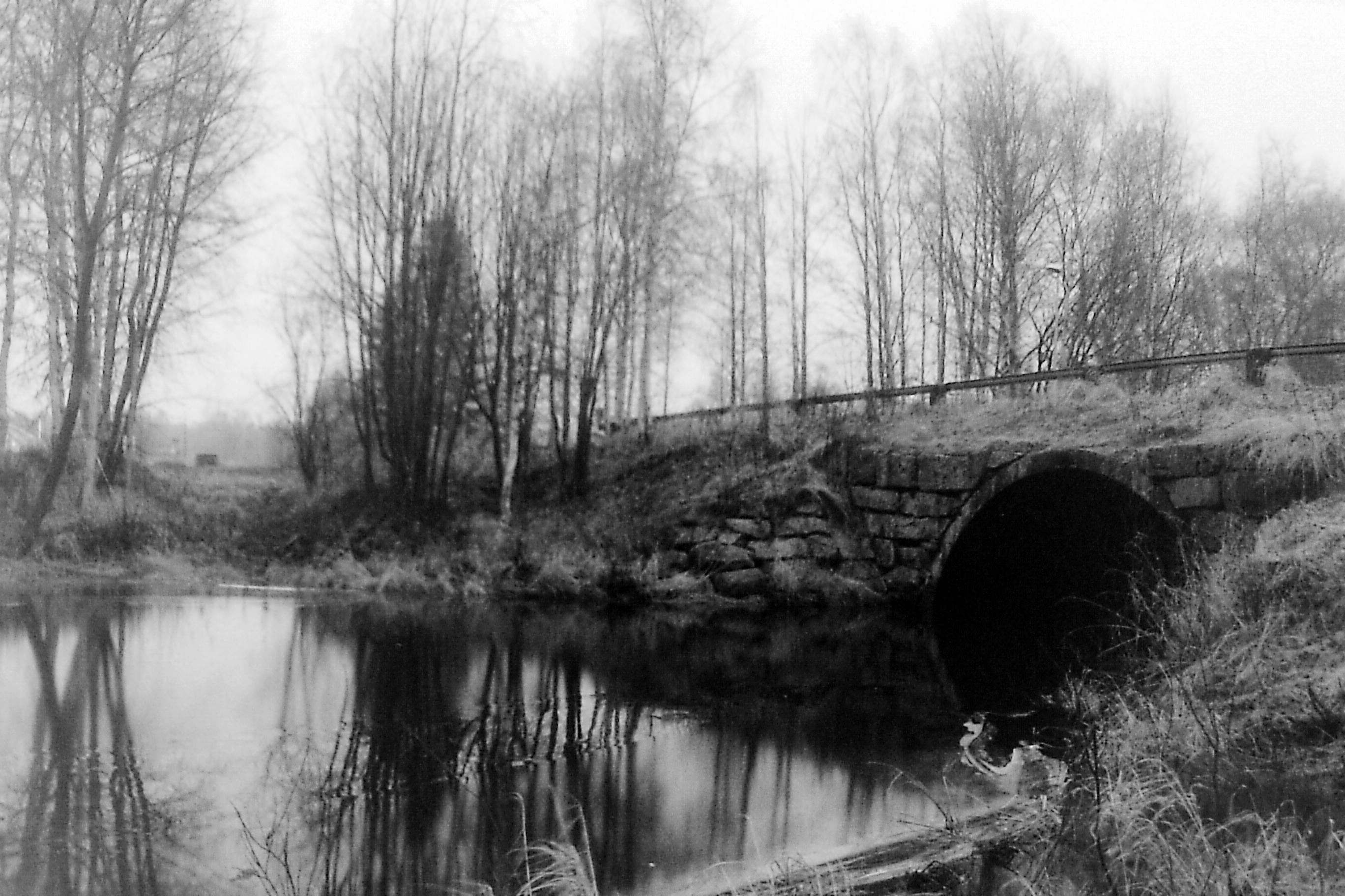 Histogram Equalization