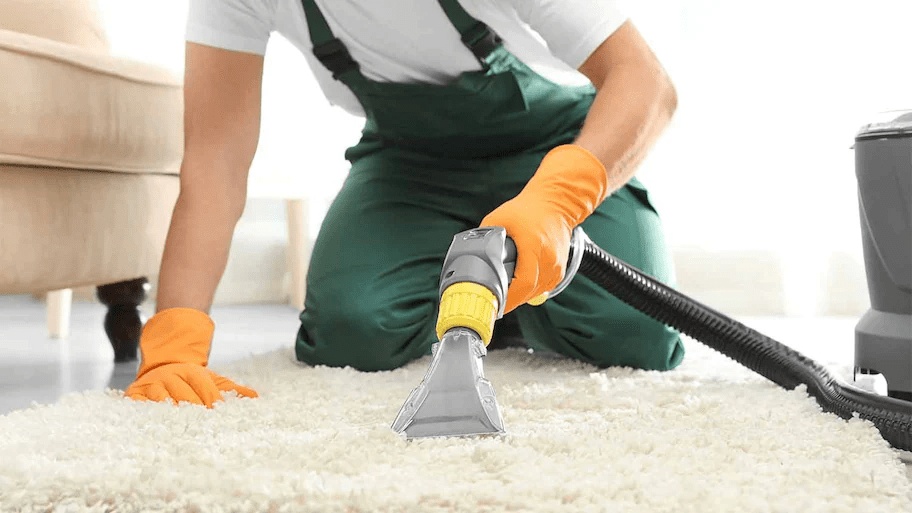 Hiring the Right Carpet Cleaning Service XPole Home