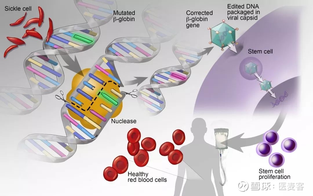 RGS12 inhibits the progression and metastasis of. ResearchGate