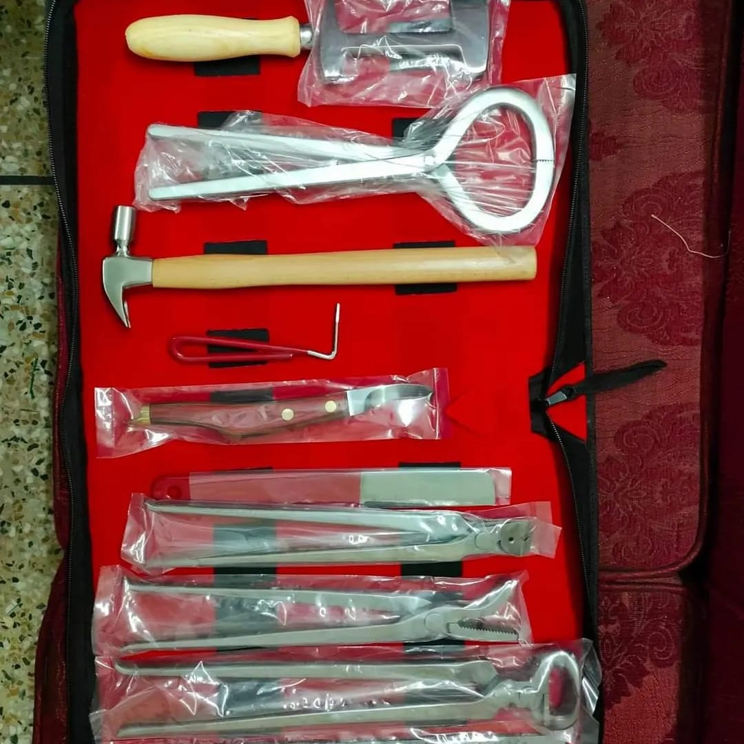 Farrier tool kit1470 XRoad Surgical