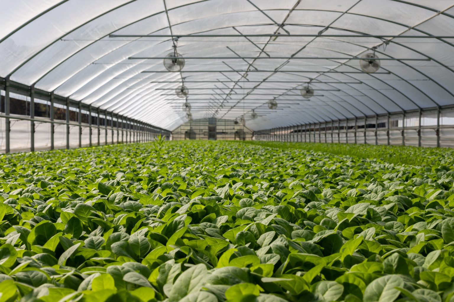 13 Free Online Horticulture Courses xScholarship