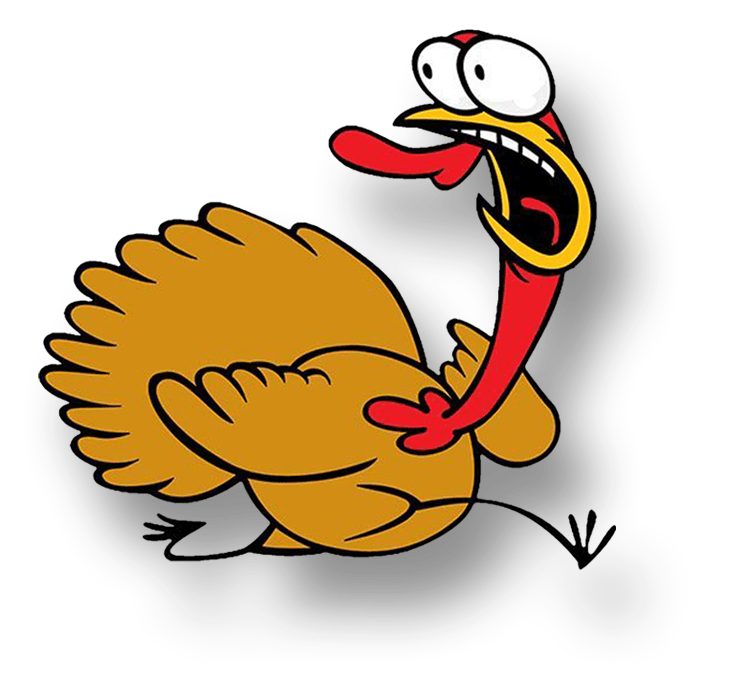 Race a Turkey 2017 Thanksgiving GoKart Challenge