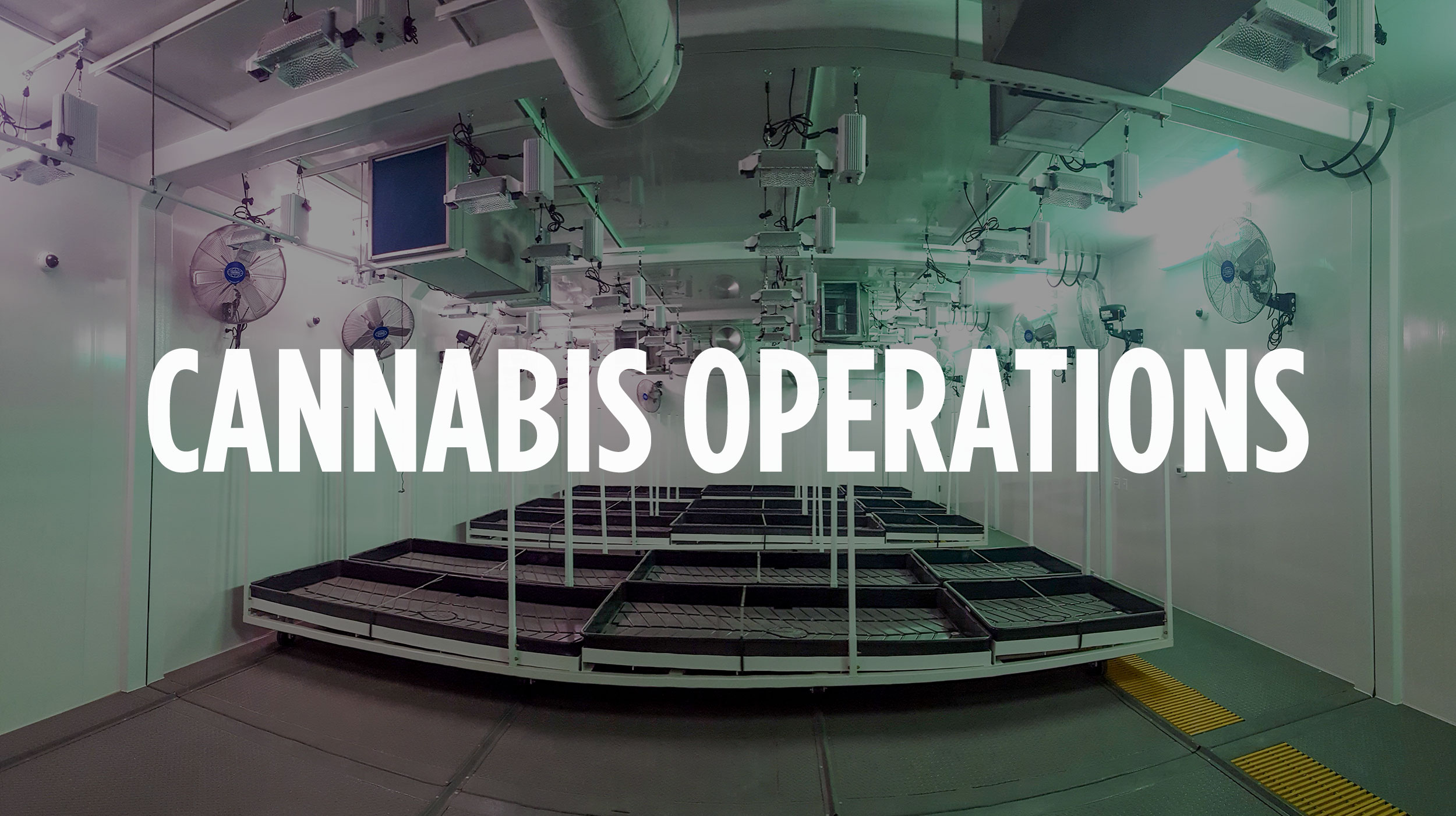 Cannabis Operations Xtreme Cubes