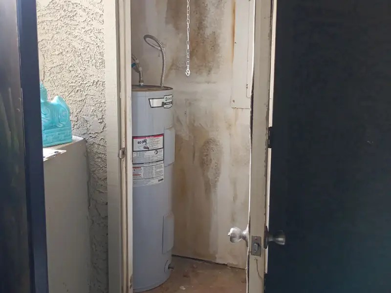 Mold Remediation Xtreme Drying LLC
