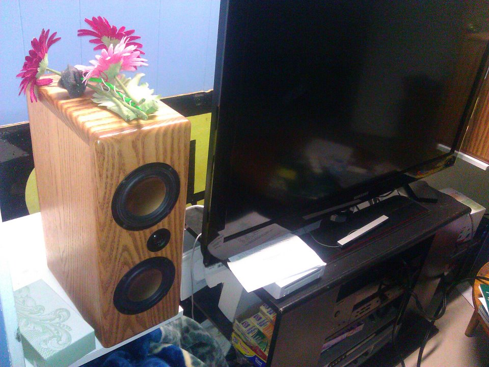 Overnight Sensations MTM Speakers