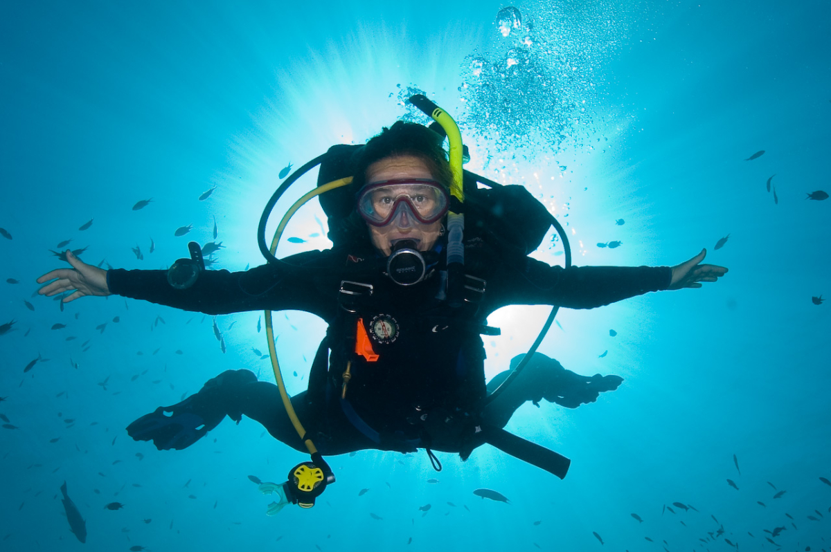 Scuba Diving Marion Bay Yorke Peninsula South Australia Australia