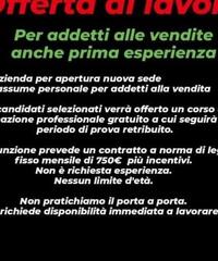 Offerte Di Lavoro Casa, Auto, Moto, Personali, Offerte Di Lavoro 200_x_240_jpg
