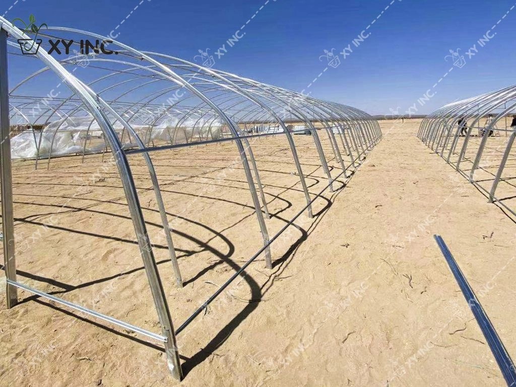 Flat Tube Greenhouses 2000 Square Ft Strong and Durable XY Inc