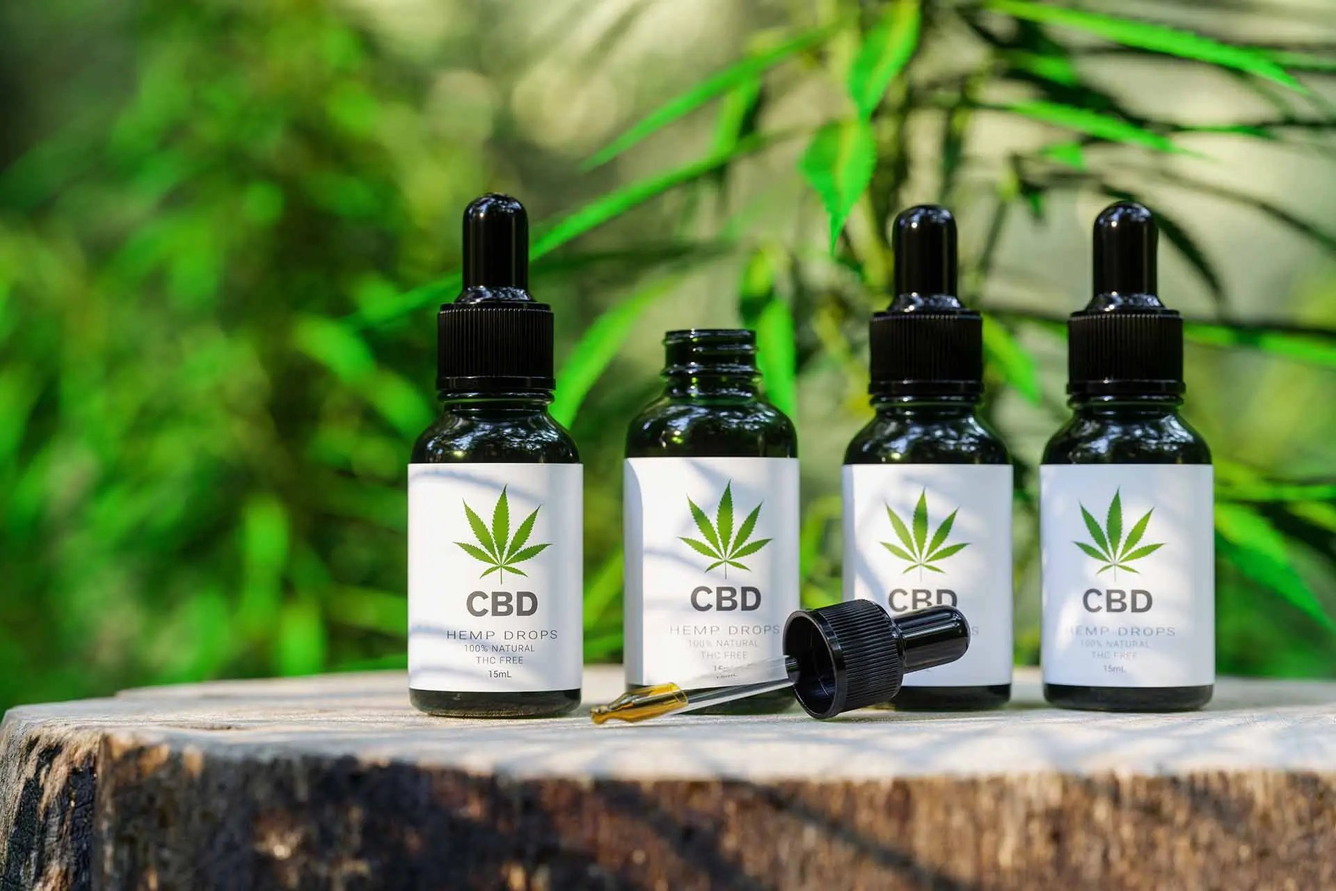 Is it Profitable to Start a CBD Brand in 2022? Xyfil Ltd
