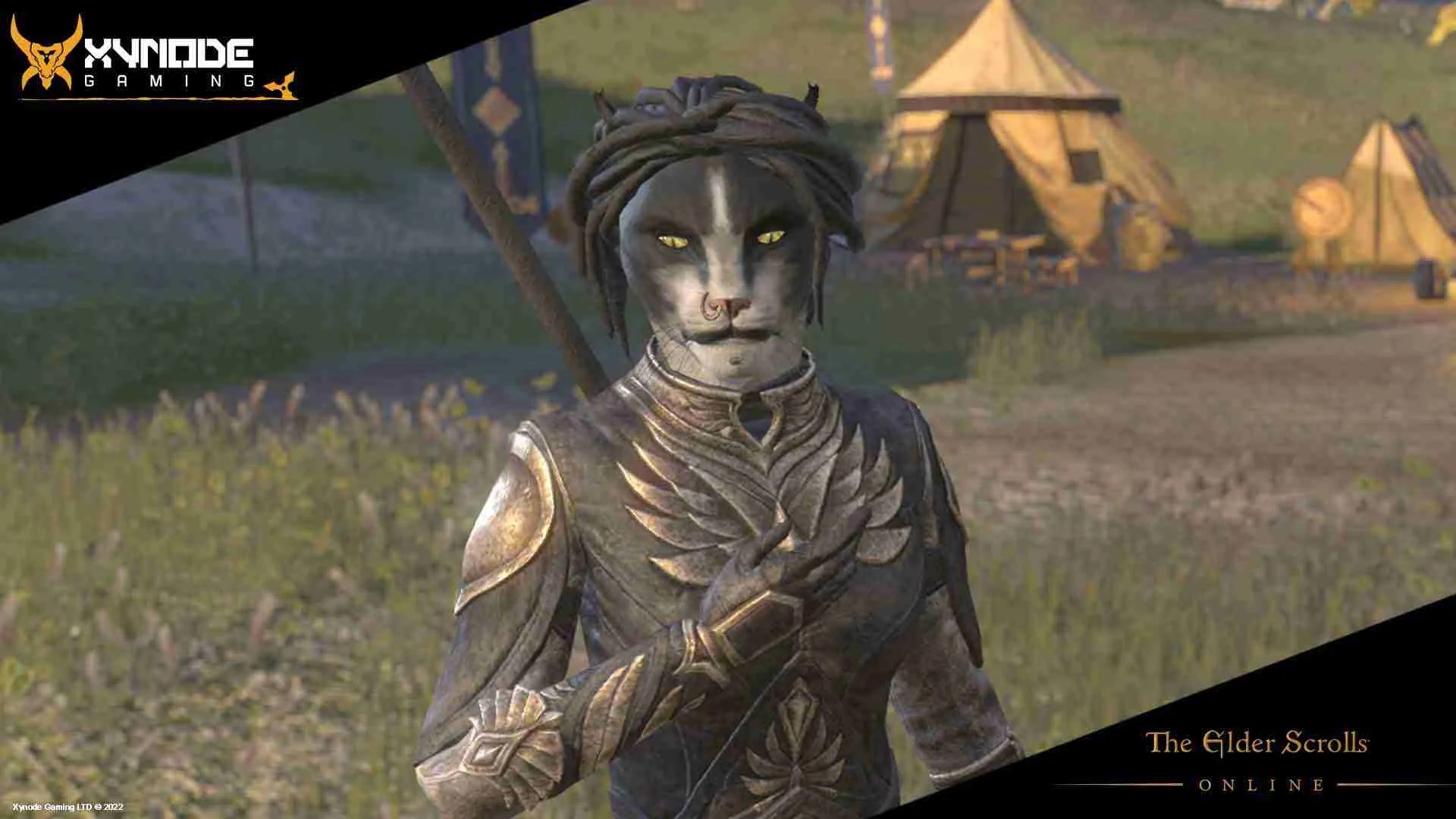 Ember, ESO Companion Xynode Gaming The Elder Scrolls Online