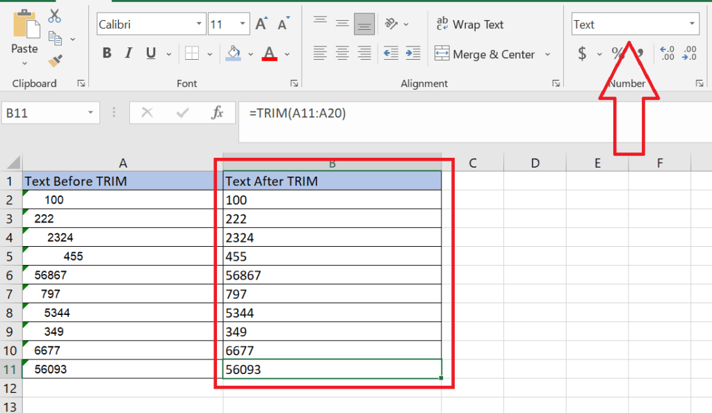 Excel TRIM Function The Ultimate Guide