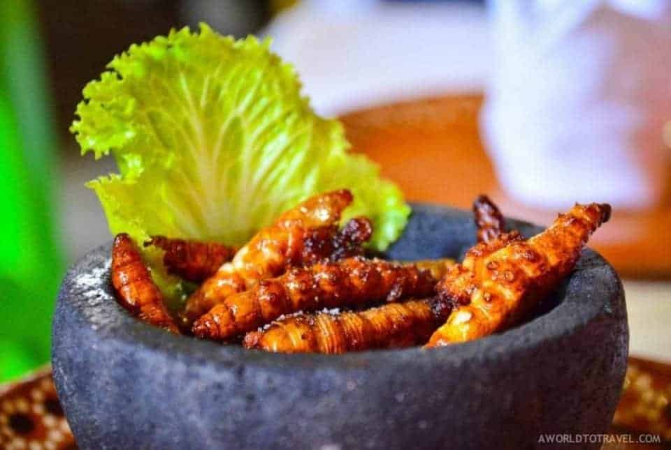 17 of the Most Unusual Foods Around the World Foodie Travel