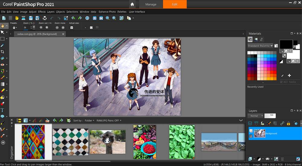 Corel Pro 2021 23.0.0.143 數位照片編輯 英文/繁體中文版(DVD版)