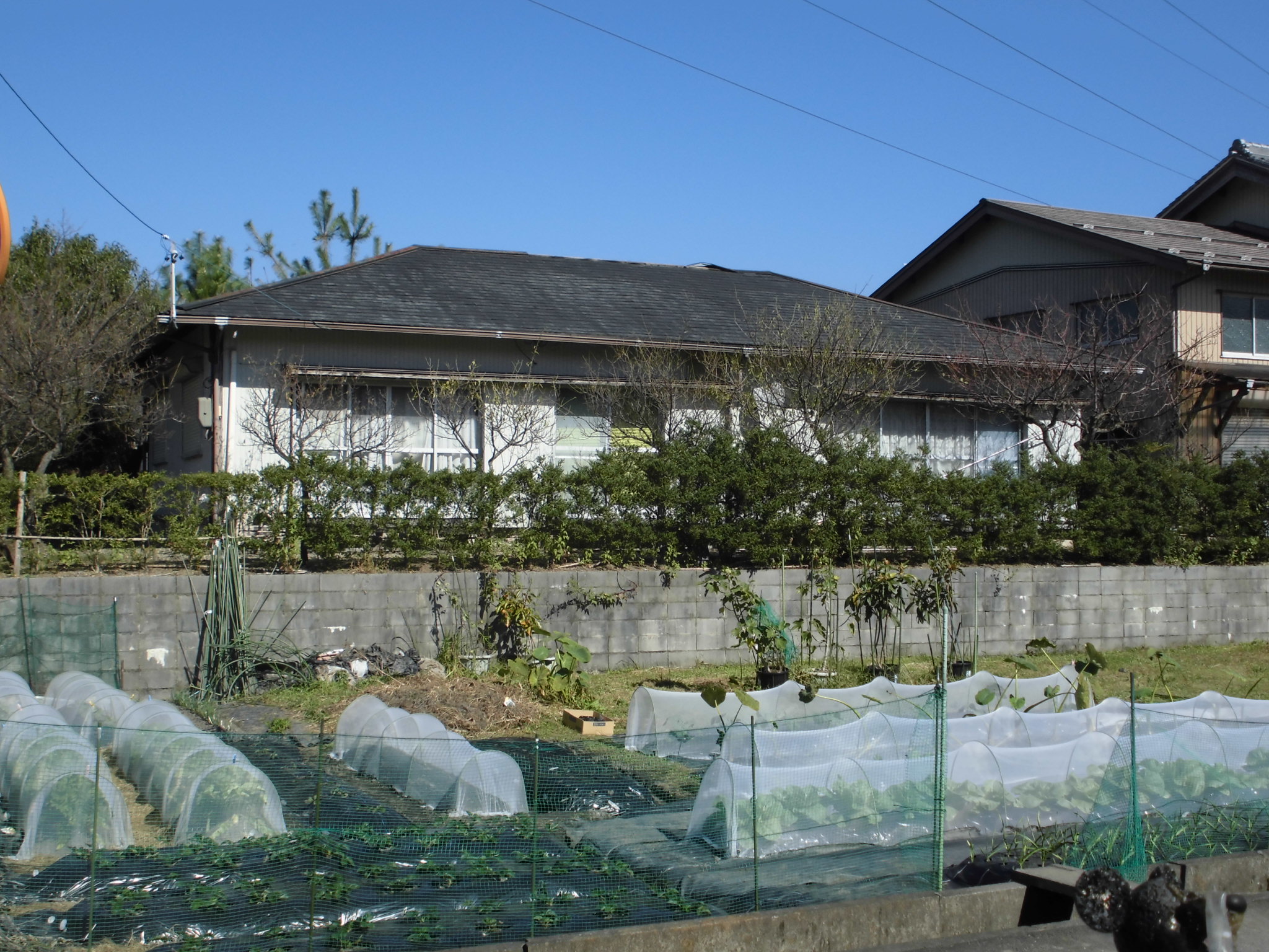 detached 高富地区