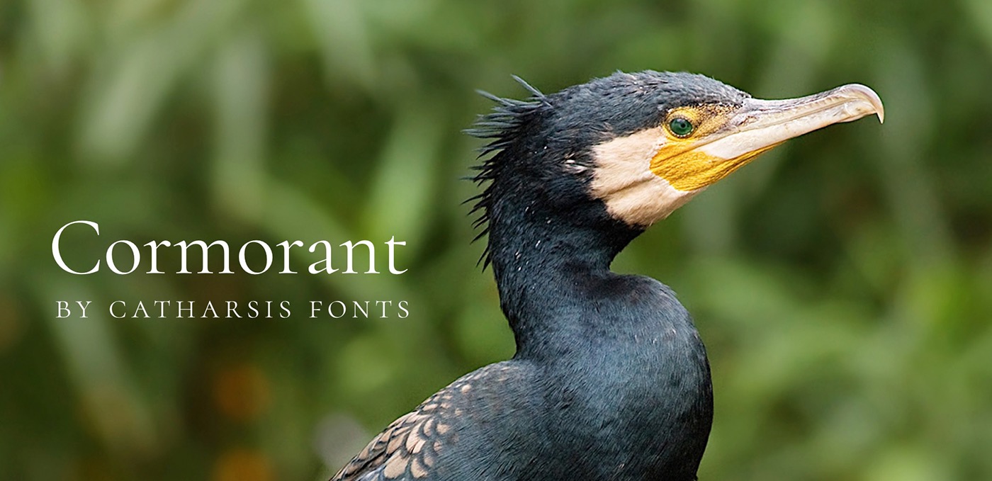 Cormorant Garamond font Cormorant Garamond font download