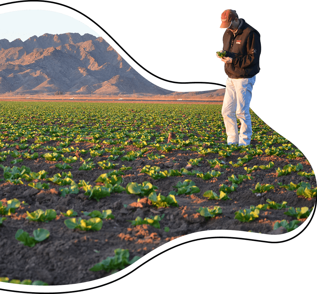 NonProfit Agriculture Education Yuma Area Agricultural