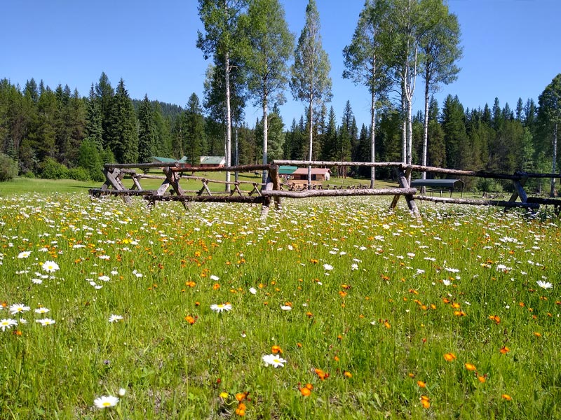 Gallery Yaak River Lodge