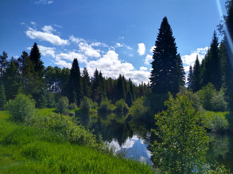 Gallery Yaak River Lodge