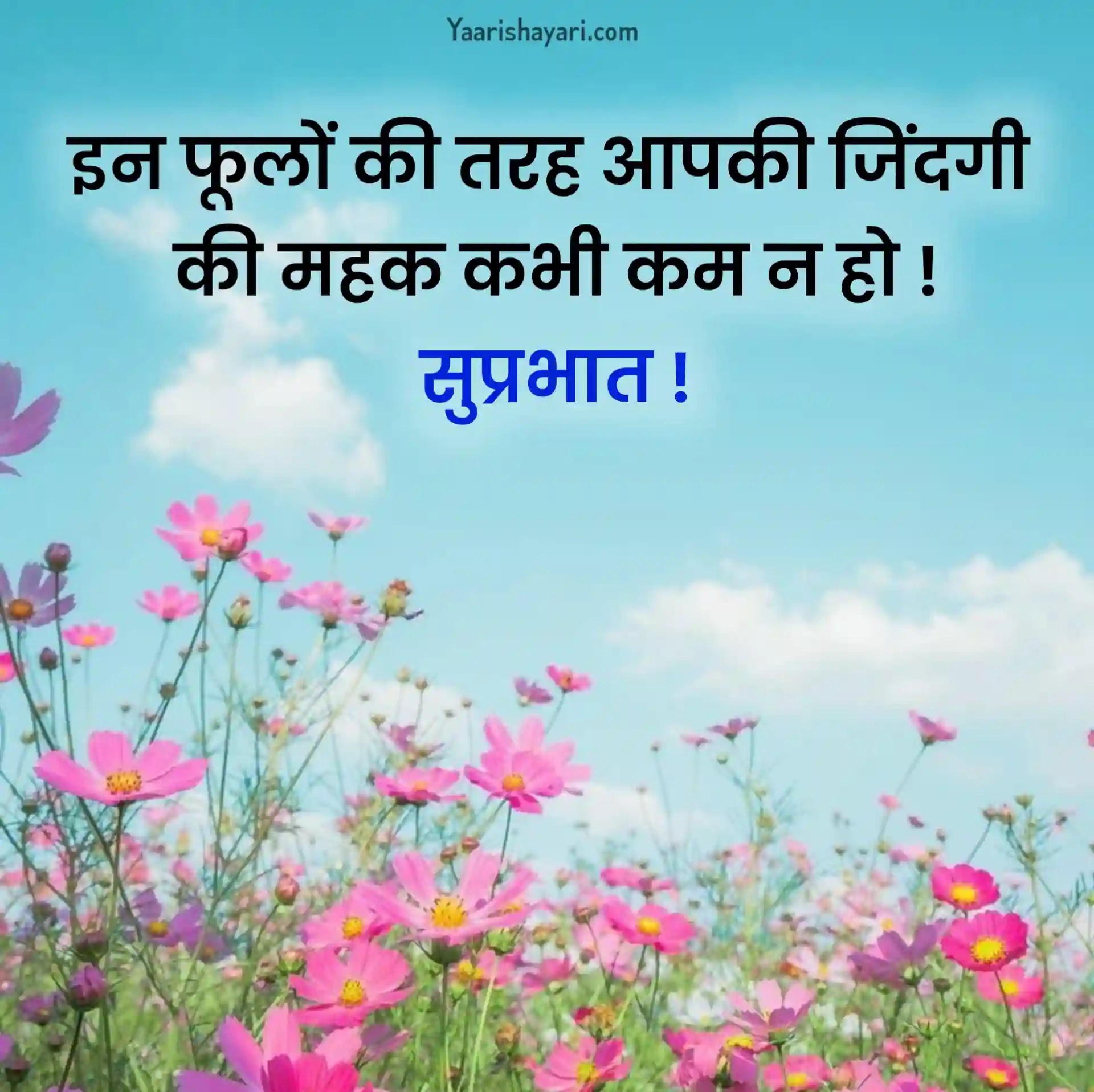 70+ Good Morning Message in Hindi सुप्रभात संदेश हिंदी